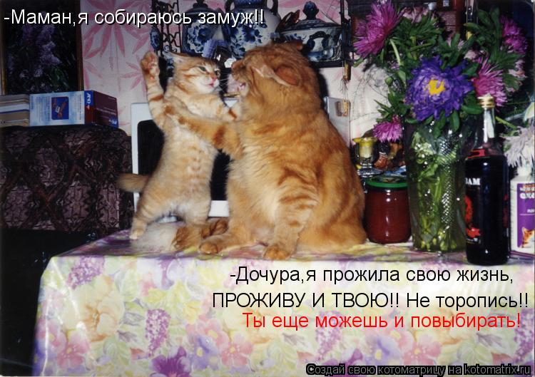 -Маман,я собираюсь замуж!! -Дочура,я прожила свою жизнь, ПРОЖИВУ И ТВОЮ!! Не торопись!! Ты еще можешь... Котоматрица: -Маман,я собираюсь замуж!! -Дочура,я прожила свою жизнь, ПРОЖИВУ И ТВОЮ!! Не торопись!! Ты еще можешь и повыбирать!