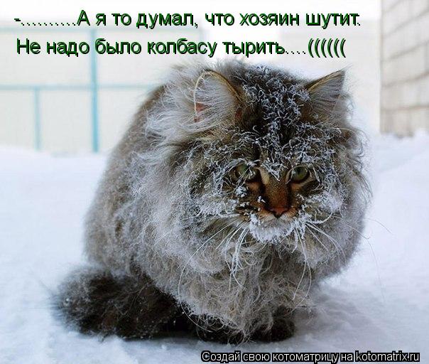 -..........А я то думал, что хозяин шутит. Не надо было колбасу тырить....((((((... Котоматрица: -..........А я то думал, что хозяин шутит. Не надо было колбасу тырить....((((((