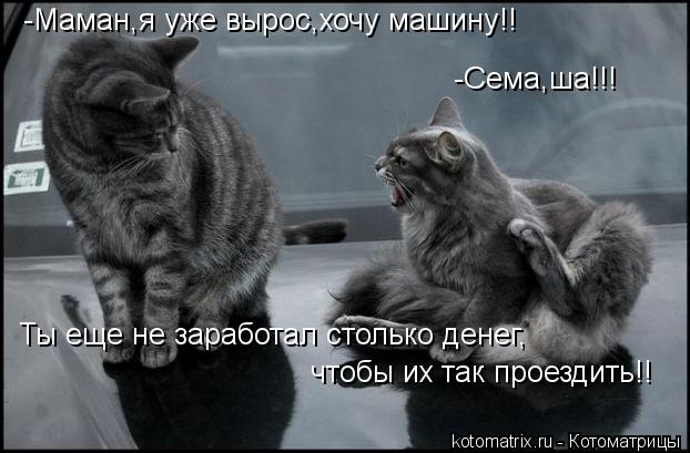 -Сема,ша!!! -Маман,я уже вырос,хочу машину!! Ты еще не заработал столько денег, чтобы их так проездит... Котоматрица: -Сема,ша!!! -Маман,я уже вырос,хочу машину!! Ты еще не заработал столько денег, чтобы их так проездить!!