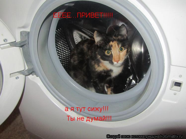 ЕЕЕЕ...ПРИВЕТ!!!!! а я тут сижу!!! Ты не думай!!!... Котоматрица: ЕЕЕЕ...ПРИВЕТ!!!!! а я тут сижу!!! Ты не думай!!!