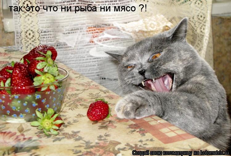 так это что ни рыба ни мясо ?!... Котоматрица: так это что ни рыба ни мясо ?!