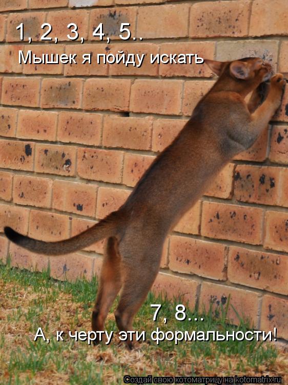 1, 2, 3, 4, 5.. Мышек я пойду искать 7, 8... А, к черту эти формальности!... Котоматрица: 1, 2, 3, 4, 5.. Мышек я пойду искать 7, 8... А, к черту эти формальности!