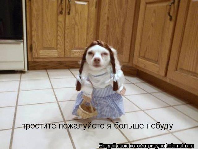 простите пожалуйсто я больше небуду... Котоматрица: простите пожалуйсто я больше небуду