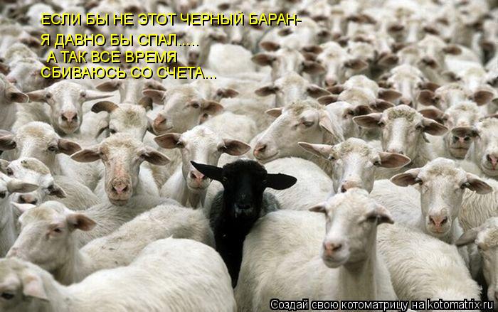 ЕСЛИ БЫ НЕ ЭТОТ ЧЕРНЫЙ БАРАН- Я ДАВНО БЫ СПАЛ..... А ТАК ВСЕ ВРЕМЯ СБИВАЮСЬ СО СЧЕТА...... Котоматрица: ЕСЛИ БЫ НЕ ЭТОТ ЧЕРНЫЙ БАРАН- Я ДАВНО БЫ СПАЛ..... А ТАК ВСЕ ВРЕМЯ СБИВАЮСЬ СО СЧЕТА...