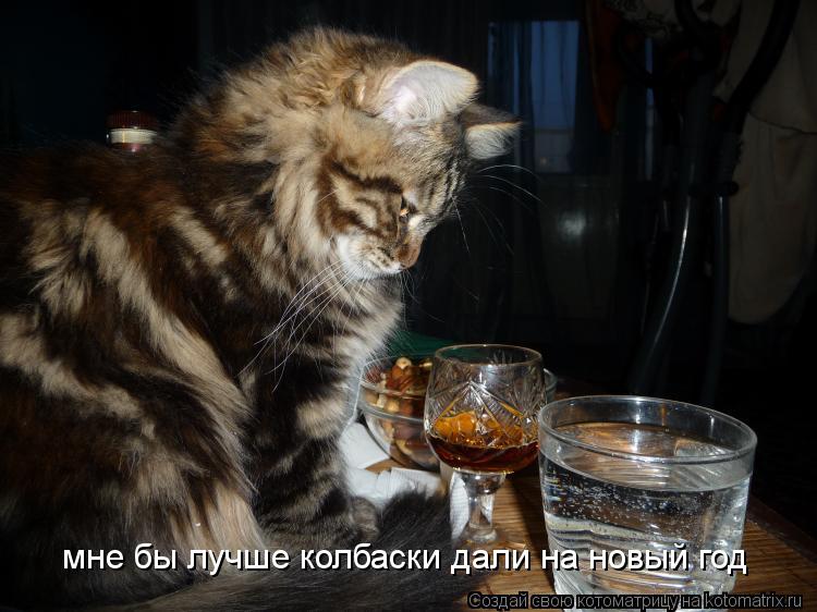 мне бы лучше колбаски дали на новый год... Котоматрица: мне бы лучше колбаски дали на новый год