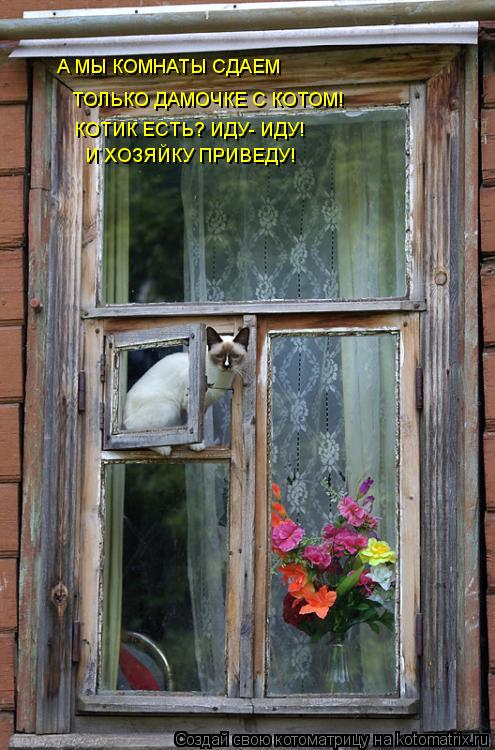 А МЫ КОМНАТЫ СДАЕМ ТОЛЬКО ДАМОЧКЕ С КОТОМ! КОТИК ЕСТЬ? ИДУ- ИДУ! И ХОЗЯЙКУ ПРИВЕДУ!... Котоматрица: А МЫ КОМНАТЫ СДАЕМ ТОЛЬКО ДАМОЧКЕ С КОТОМ! КОТИК ЕСТЬ? ИДУ- ИДУ! И ХОЗЯЙКУ ПРИВЕДУ!