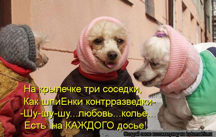 На крылечке три соседки, Как шпиЕнки контрразведки- -Шу-шу-шу...любовь...колье... Есть на КАЖДОГО до... Котоматрица: На крылечке три соседки, Как шпиЕнки контрразведки- -Шу-шу-шу...любовь...колье... Есть на КАЖДОГО досье!