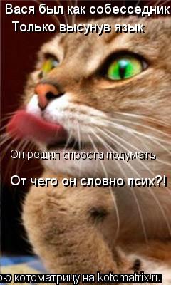 Вася был как собесседник. Только высунув язык Он решил спроста подумать От чего он словно псих?!... Котоматрица: Вася был как собесседник. Только высунув язык Он решил спроста подумать От чего он словно псих?!