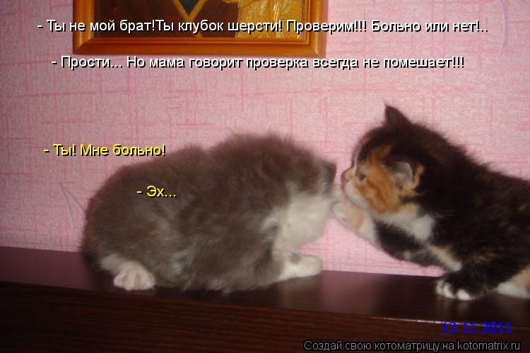 - Ты не мой брат!Ты клубок шерсти! Проверим!!! Больно или нет!.. - Ты! Мне больно! - Прости... Но мам... Котоматрица: - Ты не мой брат!Ты клубок шерсти! Проверим!!! Больно или нет!.. - Ты! Мне больно! - Прости... Но мама говорит проверка всегда не помешает!!! - Эх...