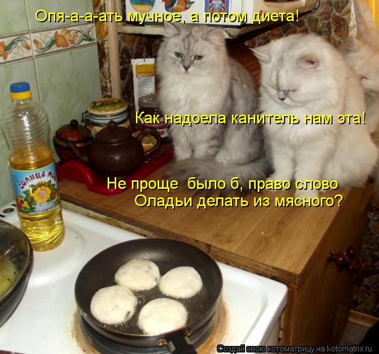 Опя-а-а-ать мучное, а потом диета! Как надоела канитель нам эта! Не проще было б, право слово Оладьи... Котоматрица: Опя-а-а-ать мучное, а потом диета! Как надоела канитель нам эта! Не проще было б, право слово Оладьи делать из мясного?