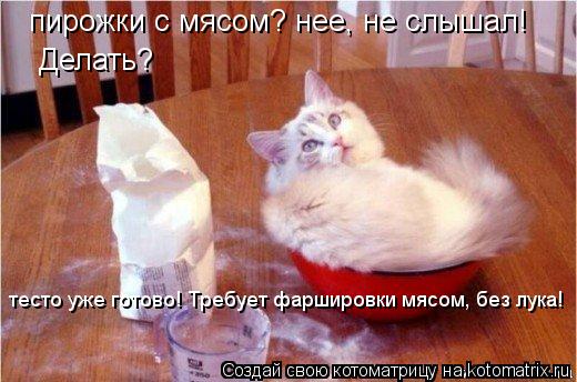 пирожки с мясом? нее, не слышал! Делать? тесто уже готово! Требует фаршировки мясом, без лука!... Котоматрица: пирожки с мясом? нее, не слышал! Делать? тесто уже готово! Требует фаршировки мясом, без лука!