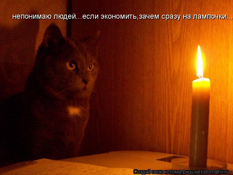 непонимаю людей...если экономить,зачем сразу на лампочки...... Котоматрица: непонимаю людей...если экономить,зачем сразу на лампочки...