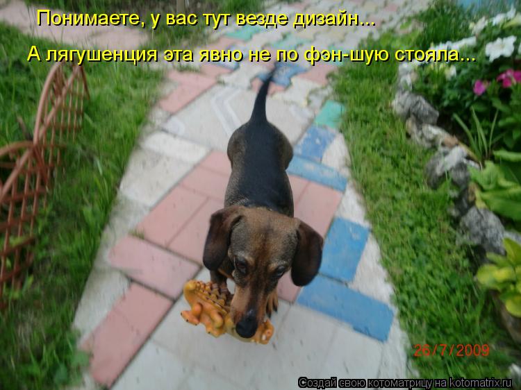 Понимаете, у вас тут везде дизайн... А лягушенция эта явно не по фэн-шую стояла...... Котоматрица: Понимаете, у вас тут везде дизайн... А лягушенция эта явно не по фэн-шую стояла...