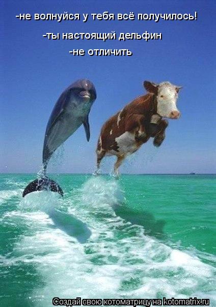 -не волнуйся у тебя всё получилось! -ты настоящий дельфин -не отличить... Котоматрица: -не волнуйся у тебя всё получилось! -ты настоящий дельфин -не отличить