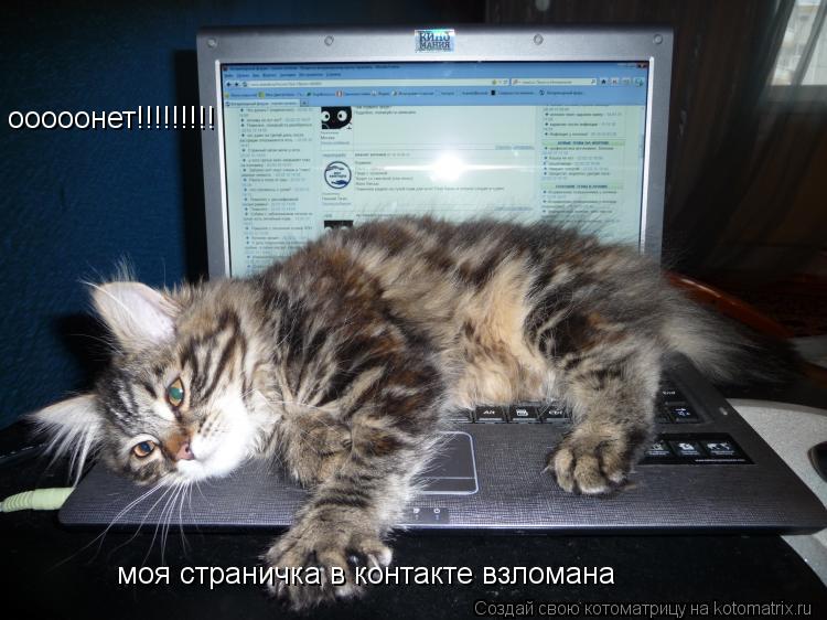 ооооонет!!!!!!!!! моя страничка в контакте взломана... Котоматрица: ооооонет!!!!!!!!! моя страничка в контакте взломана