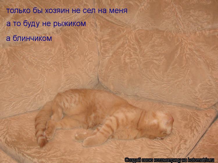 только бы хозяин не сел на меня только бы хозяин не сел на меня а то буду не рыжиком а блинчиком... Котоматрица: только бы хозяин не сел на меня только бы хозяин не сел на меня а то буду не рыжиком а блинчиком