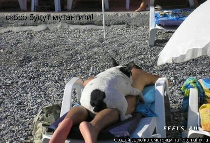 скоро будут мутантики!... Котоматрица: скоро будут мутантики!