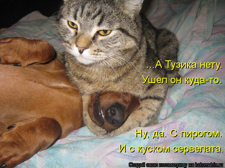 ...А Тузика нету. Ушел он куда-то. Ну, да. С пирогом. И с куском сервелата.... Котоматрица: ...А Тузика нету. Ушел он куда-то. Ну, да. С пирогом. И с куском сервелата.