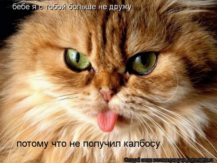 бебе я с тобой больше не дружу потому что не получил калбосу... Котоматрица: бебе я с тобой больше не дружу потому что не получил калбосу