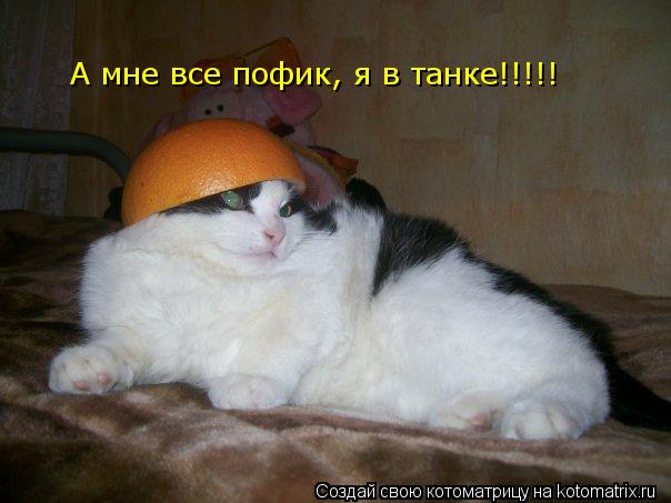 А мне все пофик, я в танке!!!!!... Котоматрица: А мне все пофик, я в танке!!!!!