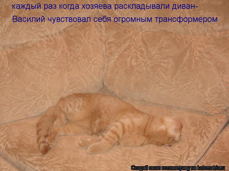 Котоматрица: каждый раз когда хозяева раскладывали диван- Василий чувствовал себя огромным трансформером
