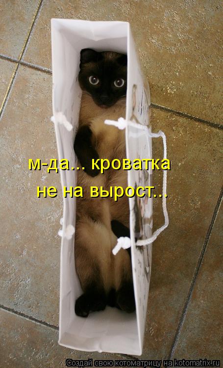 Котоматрица: м-да... кроватка  не на вырост...
