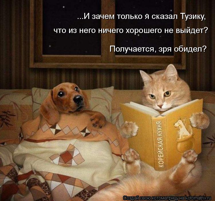 что из него ничего хорошего не выйдет? Получается, зря обидел? ...И зачем только я сказал Тузику,... Котоматрица: что из него ничего хорошего не выйдет? Получается, зря обидел? ...И зачем только я сказал Тузику,
