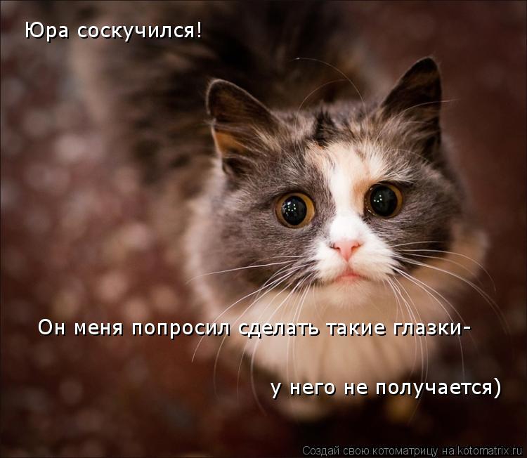 Котоматрица: Юра соскучился!  Он меня попросил сделать такие глазки-  у него не получается)