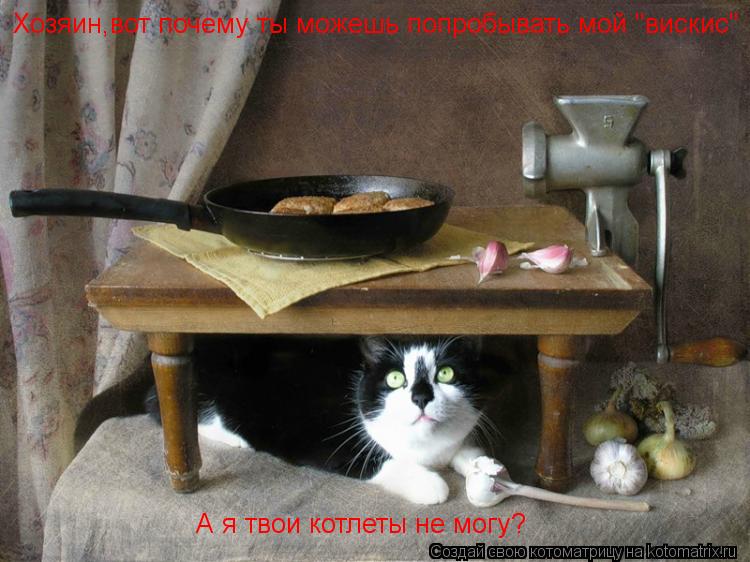 Хозяин,вот почему ты можешь попробывать мой "вискис" А я твои котлеты не могу?... Котоматрица: Хозяин,вот почему ты можешь попробывать мой "вискис" А я твои котлеты не могу?