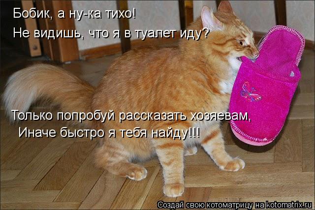 Бобик, а ну-ка тихо! Не видишь, что я в туалет иду? Только попробуй рассказать хозяевам, Иначе быстро... Котоматрица: Бобик, а ну-ка тихо! Не видишь, что я в туалет иду? Только попробуй рассказать хозяевам, Иначе быстро я тебя найду!!!