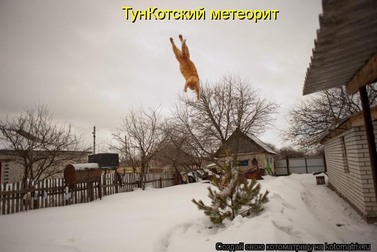 Котоматрица: ТунКотский метеорит