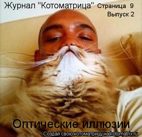 Котоматрица: Журнал "Котоматрица" Страница №9 Выпуск 2 Оптические иллюзии