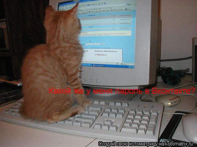 Котоматрица: Какой же у меня пароль в Вконтакте?