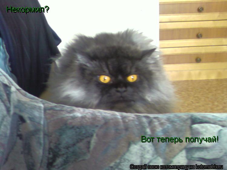 Котоматрица: Некормил?   Некормил?   Вот теперь получай!