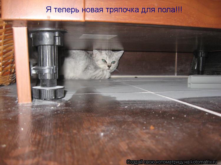Котоматрица: Я теперь новая тряпочка для пола!!!