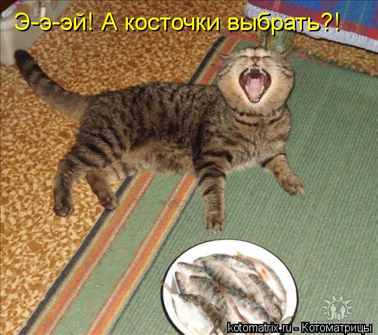 Э-э-эй! А косточки выбрать?!... Котоматрица: Э-э-эй! А косточки выбрать?!
