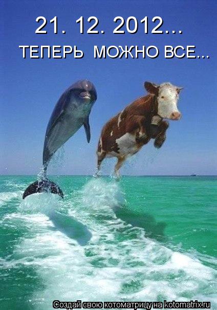 21. 12. 2012... ТЕПЕРЬ МОЖНО ВСЕ...... Котоматрица: 21. 12. 2012... ТЕПЕРЬ МОЖНО ВСЕ...