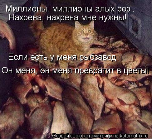 Миллионы, миллионы алых роз... Нахрена, нахрена мне нужны! Если есть у меня рыбзавод Он меня, он меня... Котоматрица: Миллионы, миллионы алых роз... Нахрена, нахрена мне нужны! Если есть у меня рыбзавод Он меня, он меня превратит в цветы!