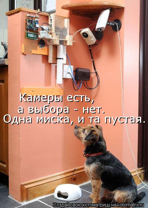 Камеры есть, а выбора - нет. Одна миска, и та пустая.... Котоматрица: Камеры есть, а выбора - нет. Одна миска, и та пустая.