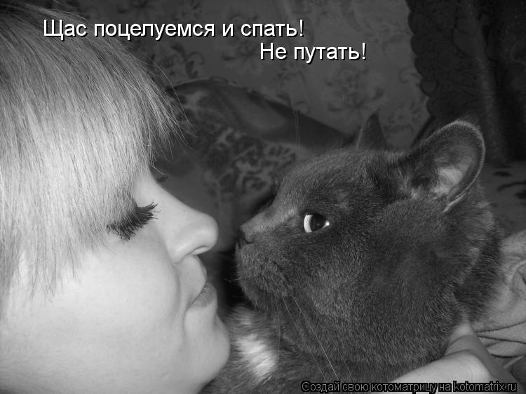 Щас поцелуемся и спать! Не путать!... Котоматрица: Щас поцелуемся и спать! Не путать!