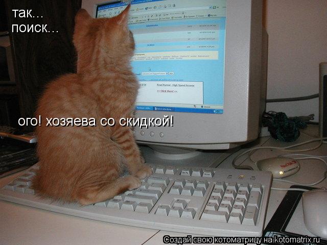 так... поиск... ого! хозяева со скидкой!... Котоматрица: так... поиск... ого! хозяева со скидкой!