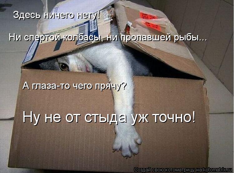 Здесь ничего нету! Ни спертой колбасы, ни пропавшей рыбы... А глаза-то чего прячу? Ну не от стыда уж ... Котоматрица: Здесь ничего нету! Ни спертой колбасы, ни пропавшей рыбы... А глаза-то чего прячу? Ну не от стыда уж точно!