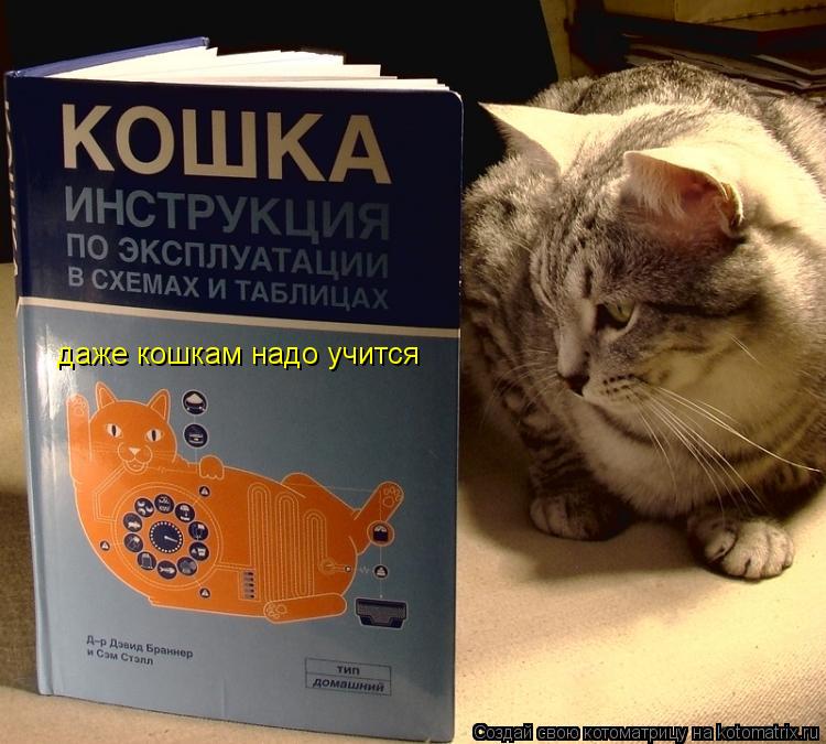 даже кошкам надо учится... Котоматрица: даже кошкам надо учится
