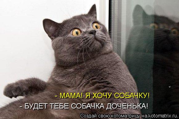 - МАМА! Я ХОЧУ СОБАЧКУ! - БУДЕТ ТЕБЕ СОБАЧКА ДОЧЕНЬКА!... Котоматрица: - МАМА! Я ХОЧУ СОБАЧКУ! - БУДЕТ ТЕБЕ СОБАЧКА ДОЧЕНЬКА!