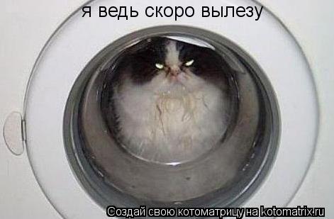 я ведь скоро вылезу... Котоматрица: я ведь скоро вылезу