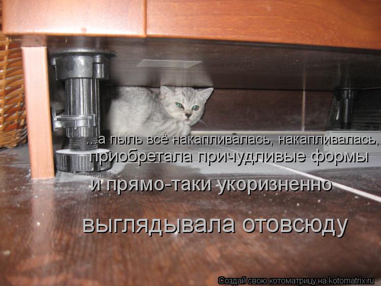 ...а пыль всё накапливалась, накапливалась, приобретала причудливые формы и прямо-таки укоризненно в... Котоматрица: ...а пыль всё накапливалась, накапливалась, приобретала причудливые формы и прямо-таки укоризненно выглядывала отовсюду