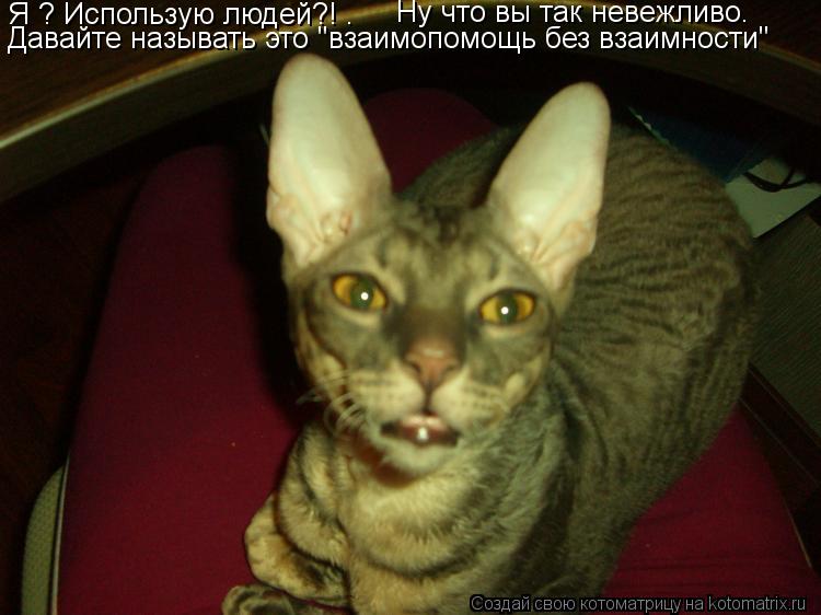 Я ? Использую людей?! . Ну что вы так невежливо. Давайте называть это "взаимопомощь без взаимности"... Котоматрица: Я ? Использую людей?! . Ну что вы так невежливо. Давайте называть это "взаимопомощь без взаимности"