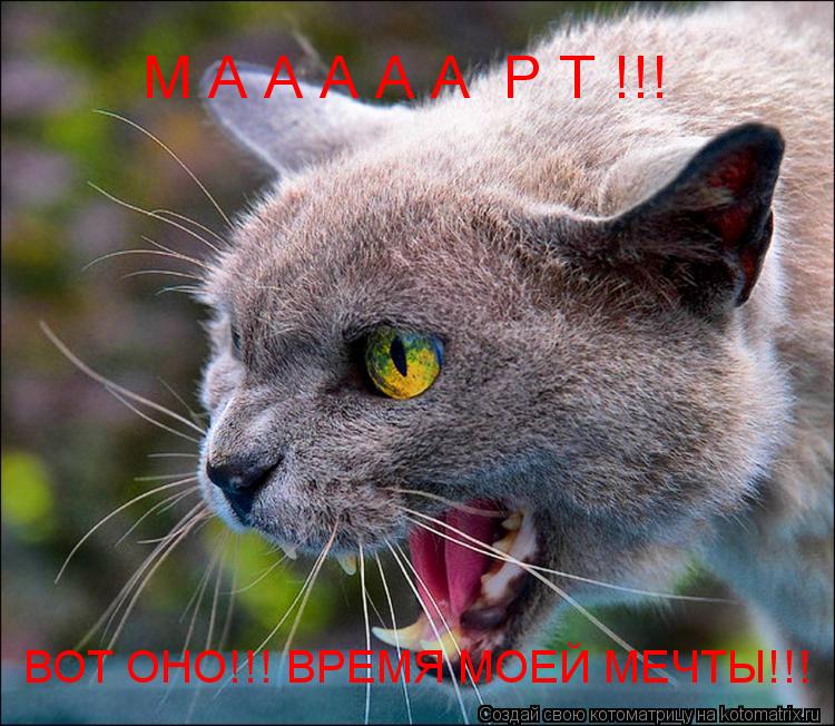 М А А А А А Р Т !!! ВОТ ОНО!!! ВРЕМЯ МОЕЙ МЕЧТЫ!!!... Котоматрица: М А А А А А Р Т !!! ВОТ ОНО!!! ВРЕМЯ МОЕЙ МЕЧТЫ!!!