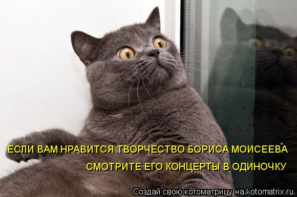 ЕСЛИ ВАМ НРАВИТСЯ ТВОРЧЕСТВО БОРИСА МОИСЕЕВА СМОТРИТЕ ЕГО КОНЦЕРТЫ В ОДИНОЧКУ... Котоматрица: ЕСЛИ ВАМ НРАВИТСЯ ТВОРЧЕСТВО БОРИСА МОИСЕЕВА СМОТРИТЕ ЕГО КОНЦЕРТЫ В ОДИНОЧКУ