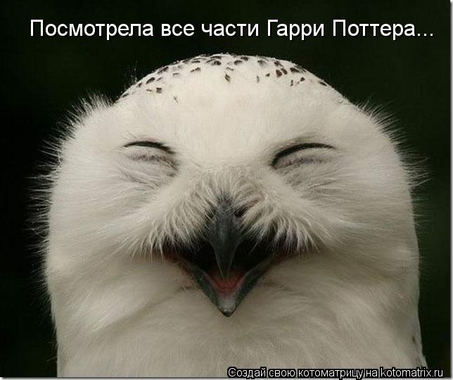 Посмотрела все части Гарри Поттера...... Котоматрица: Посмотрела все части Гарри Поттера...
